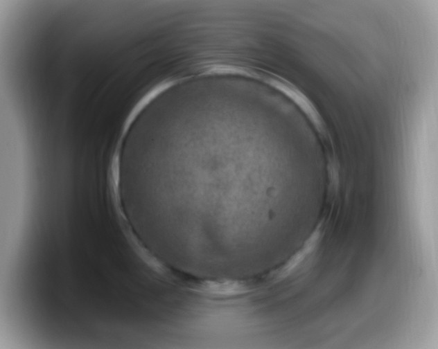 X0000099991198200805301407