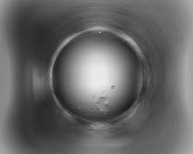 X0000099991199200805301407