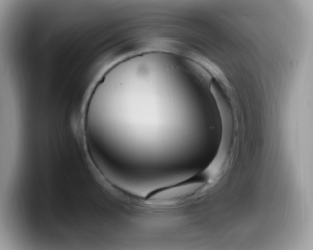 X0000099991200200805301407