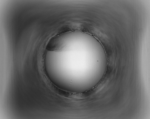 X0000099991201200805301406