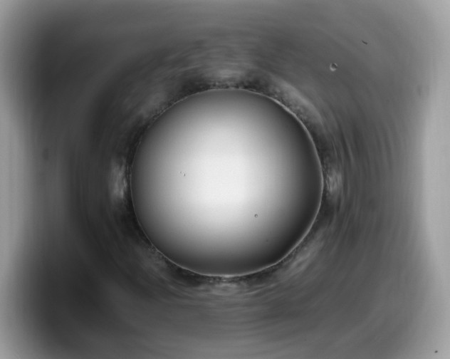 X0000099991204200805301406