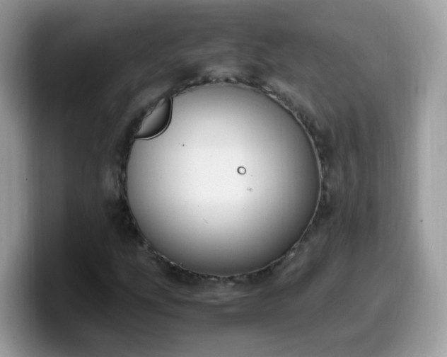 X0000099991207200805301406