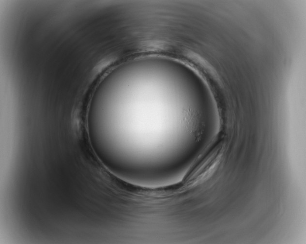 X0000099991210200805301406