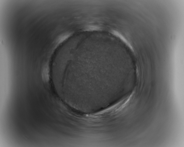X0000099991213200805301406