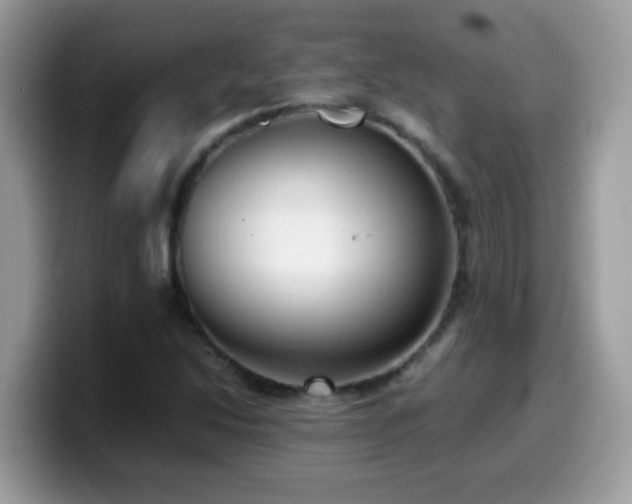 X0000099991214200805301406