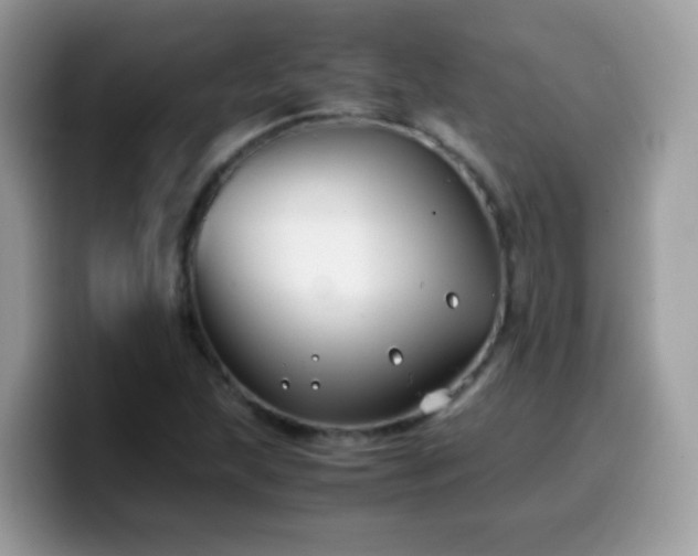 X0000099991215200805301406