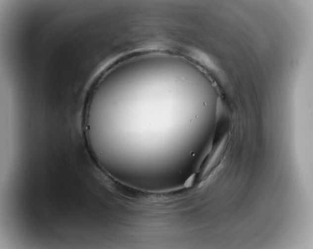 X0000099991216200805301406