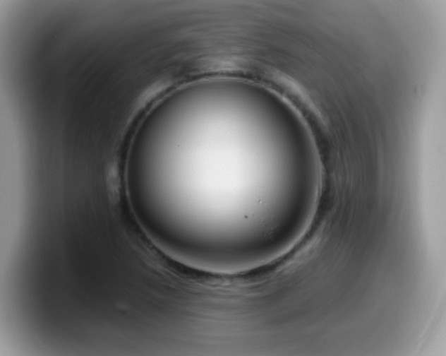 X0000099991218200805301406