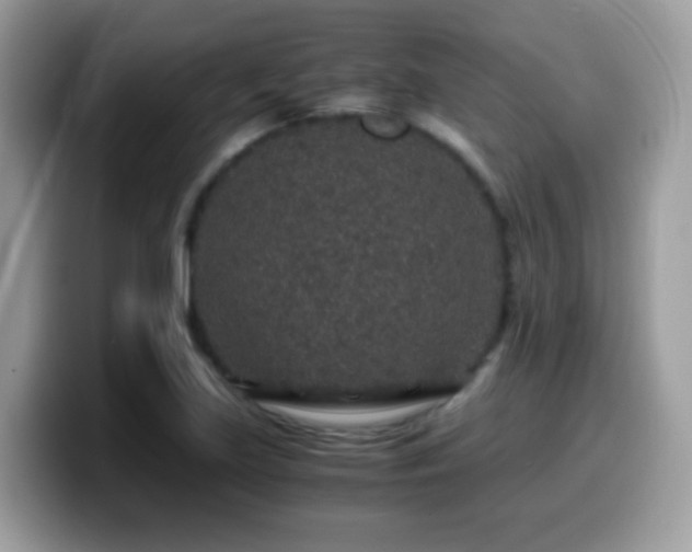 X0000099991219200805301406
