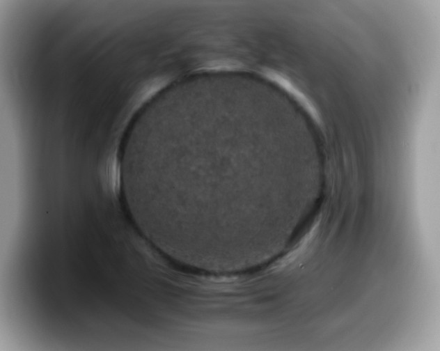 X0000099991221200805301406
