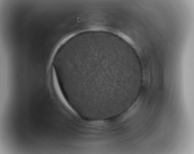 X0000099991223200805301406