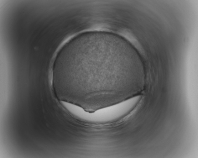X0000099991224200805301406