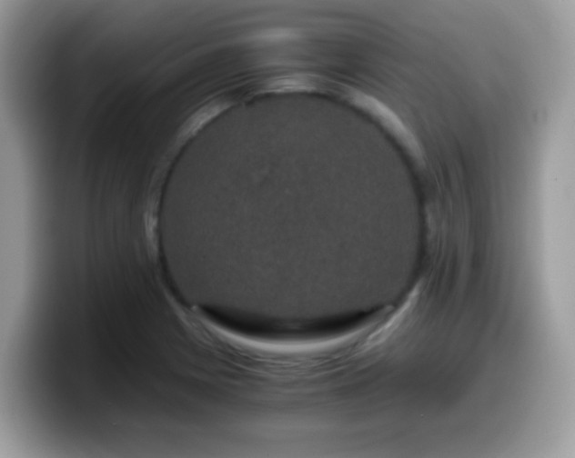 X0000099991225200805301406