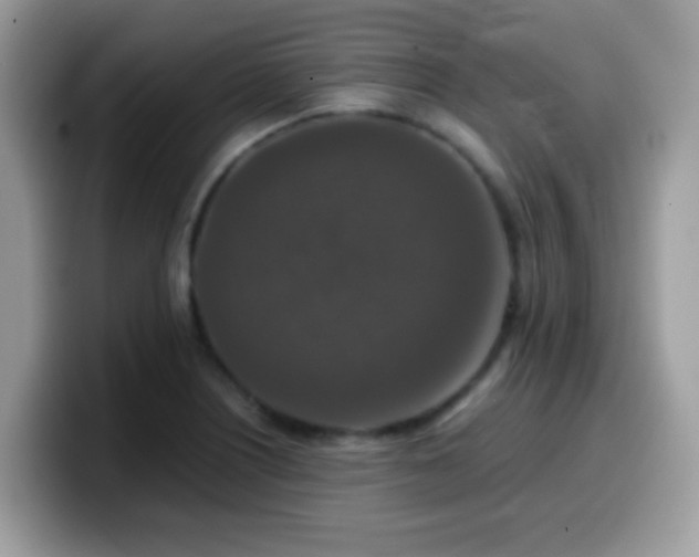 X0000099991226200805301407