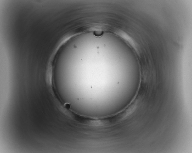 X0000099991227200805301407