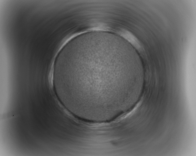 X0000099991228200805301407