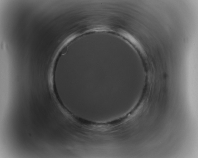 X0000099991229200805301407