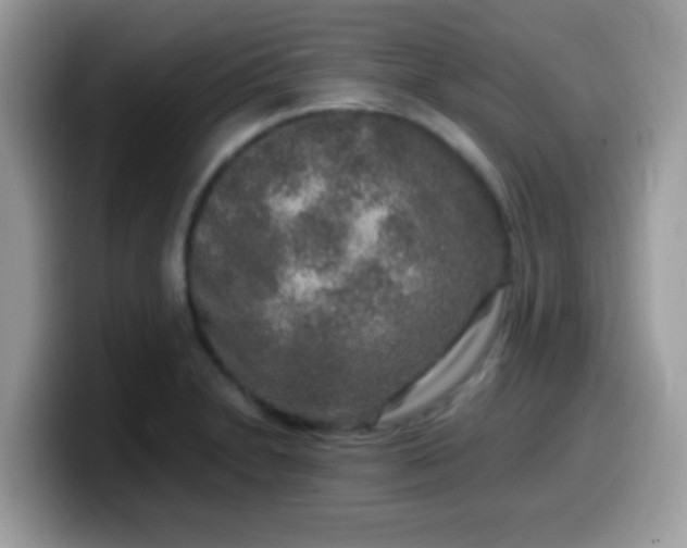 X0000099991230200805301407