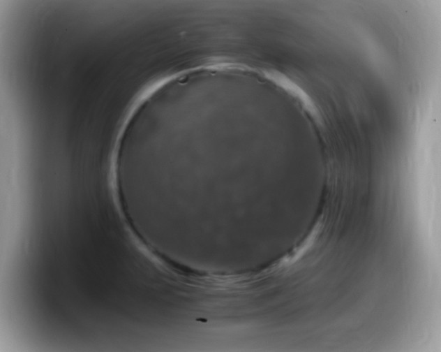 X0000099991231200805301407
