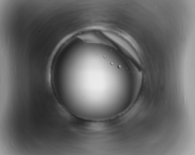 X0000099991232200805301407
