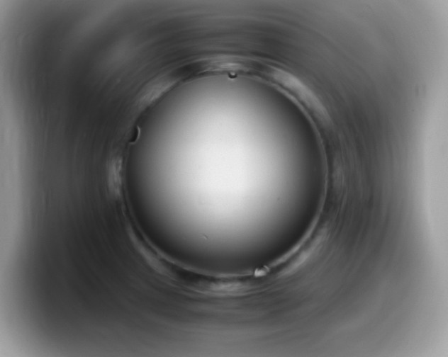 X0000099991233200805301407