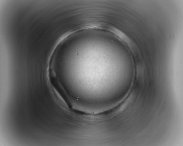 X0000099991234200805301407