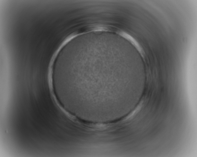 X0000099991235200805301407
