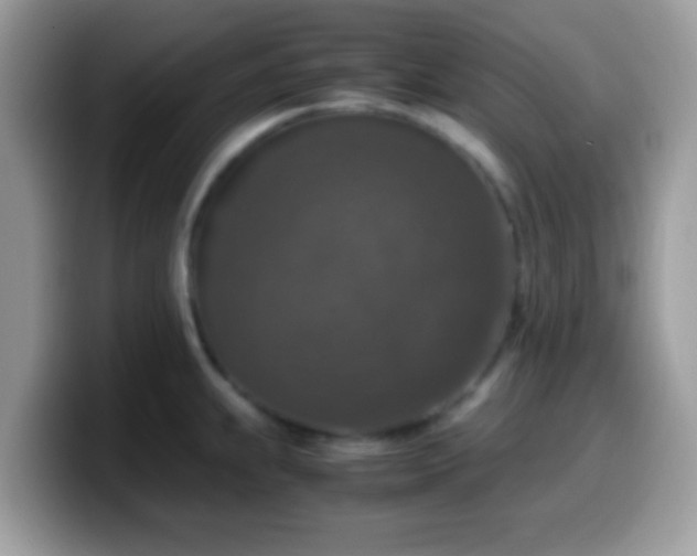 X0000099991239200805301407