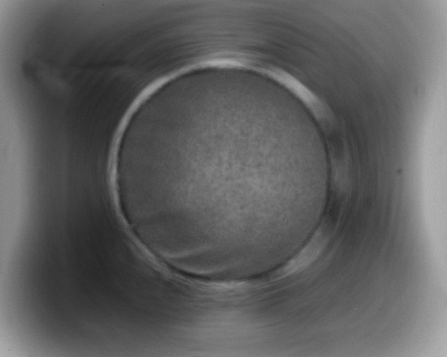 X0000099991240200805301407