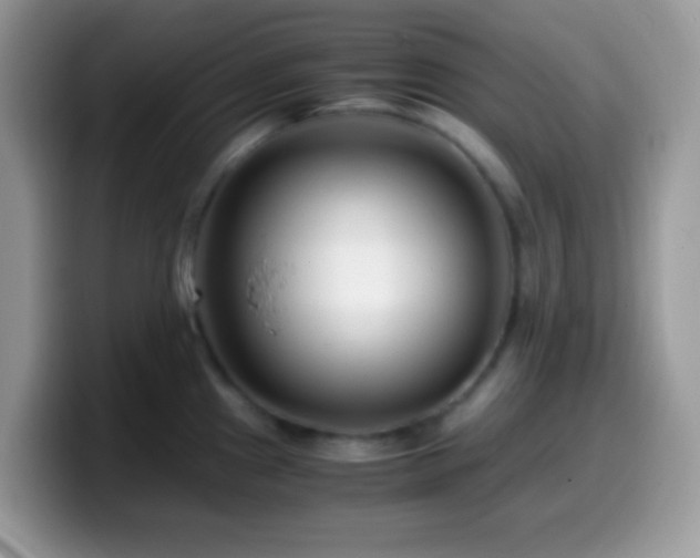 X0000099991241200805301407