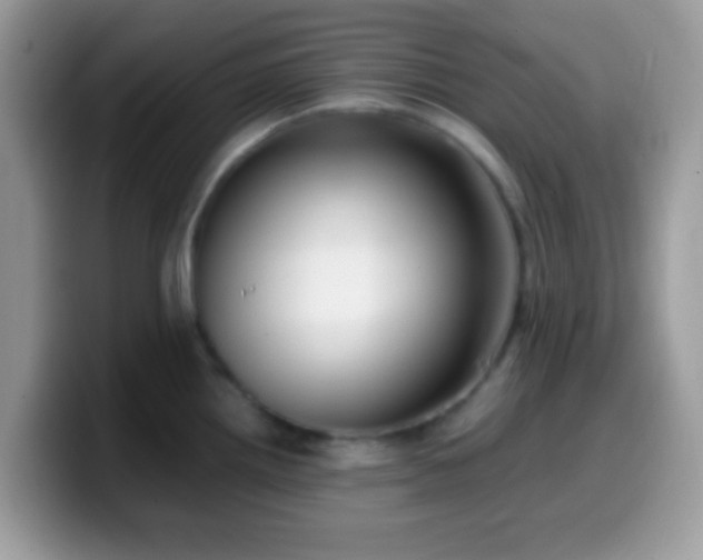 X0000099991242200805301407
