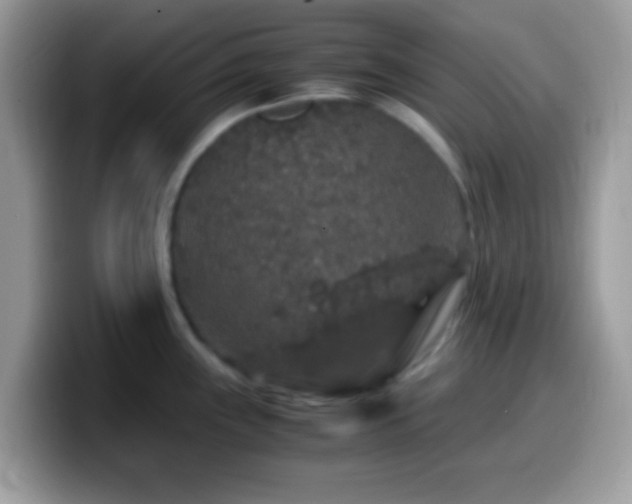 X0000099991243200805301407