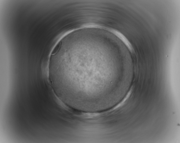 X0000099991244200805301407