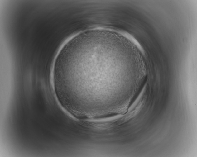 X0000099991247200805301407