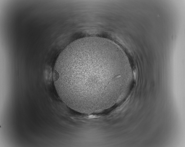 X0000099991251200805301406