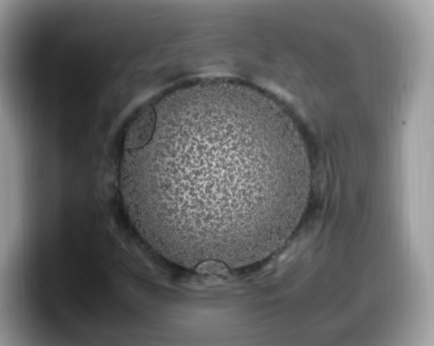 X0000099991255200805301406