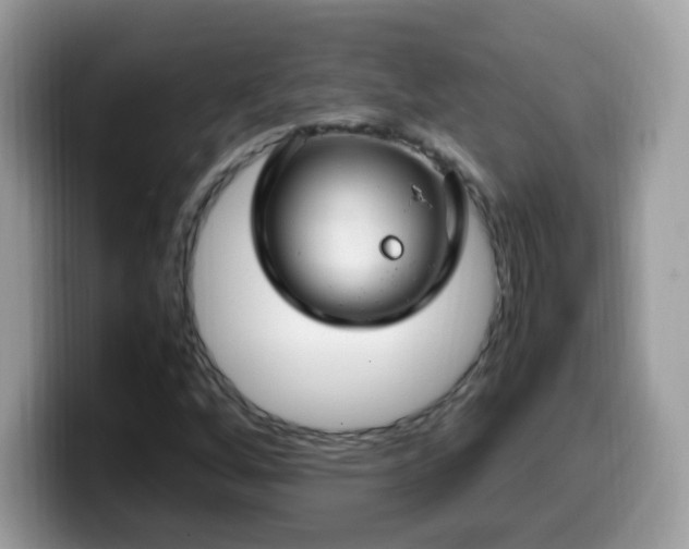 X0000099991256200805301406