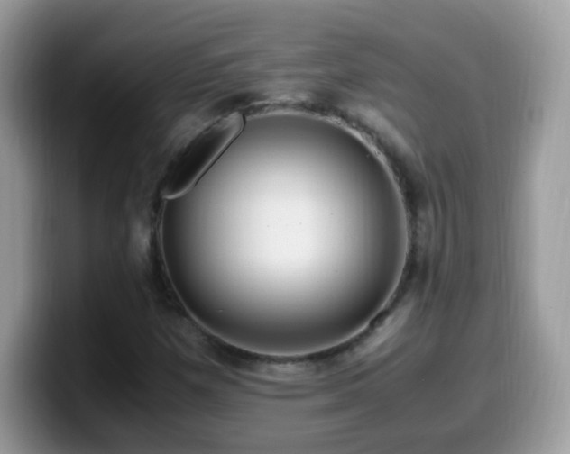 X0000099991257200805301406