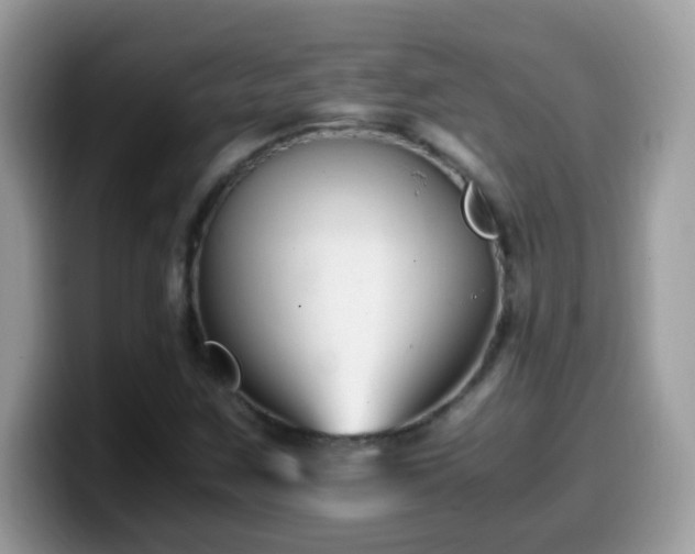X0000099991259200805301406