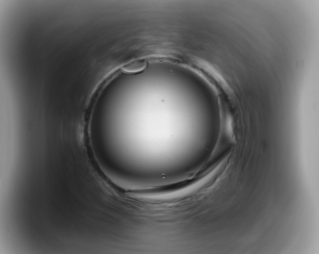 X0000099991260200805301406