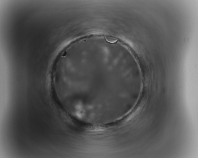 X0000099991263200805301406