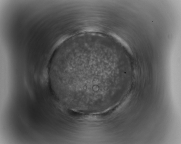 X0000099991266200805301406