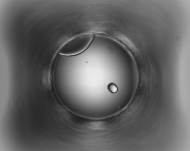 X0000099991268200805301406