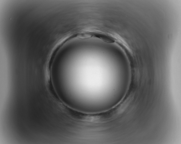 X0000099991269200805301406