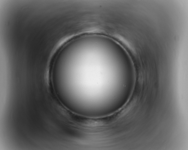 X0000099991270200805301406