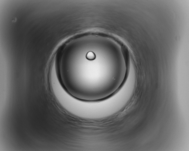 X0000099991271200805301406