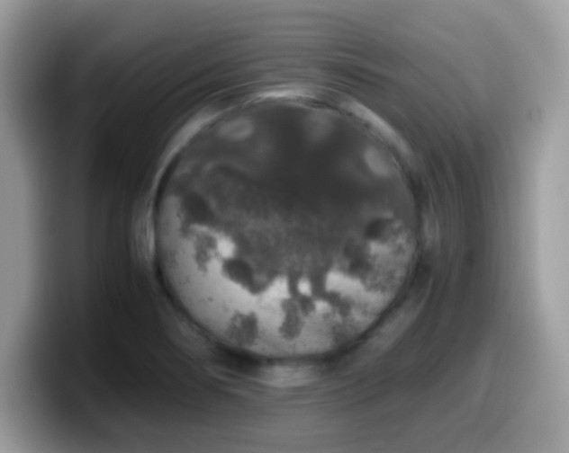 X0000099991274200805301406