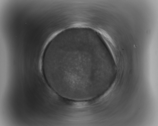 X0000099991277200805301406