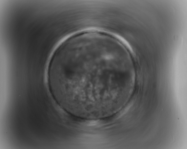 X0000099991279200805301406