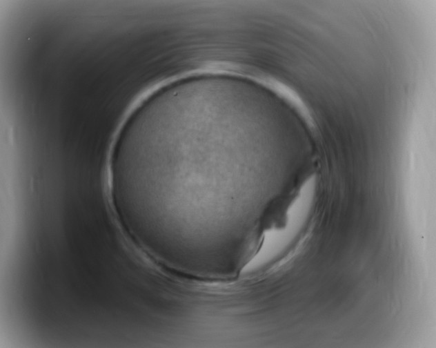 X0000099991280200805301406